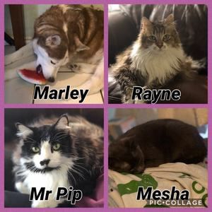 Meet your Posher, Emmane